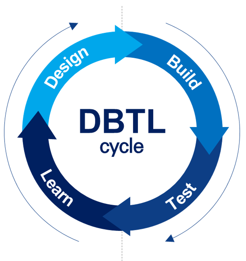 dbtl cycle